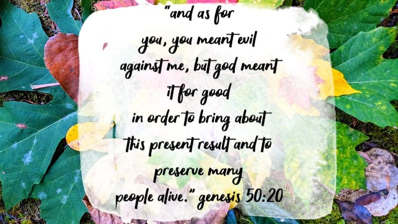 "And as for you, you meant evil against me, but God meant if for good in order to bring about this present result and to preserve many people alive." Genesis 50:20