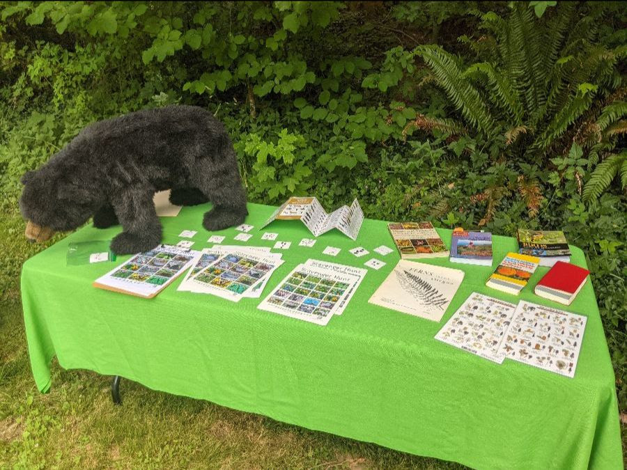 Family Fun Day - Nature Table