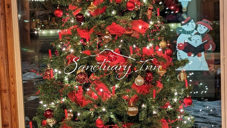 Sanctuary Inn Christmas Tree
