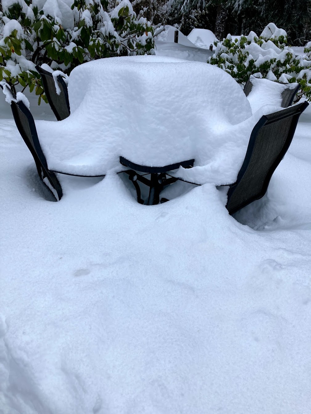 snow covered table and chairs